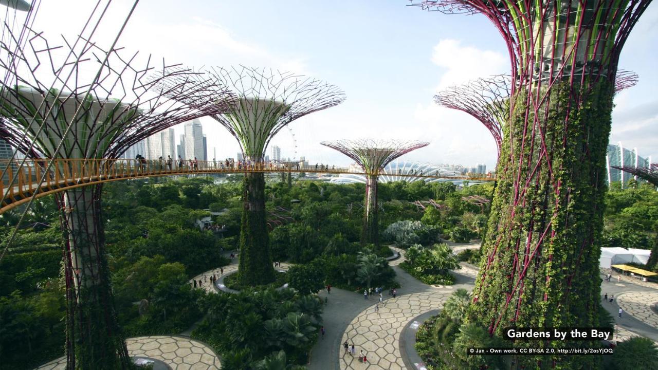 Zen Rooms Orchard Сингапур Экстерьер фото